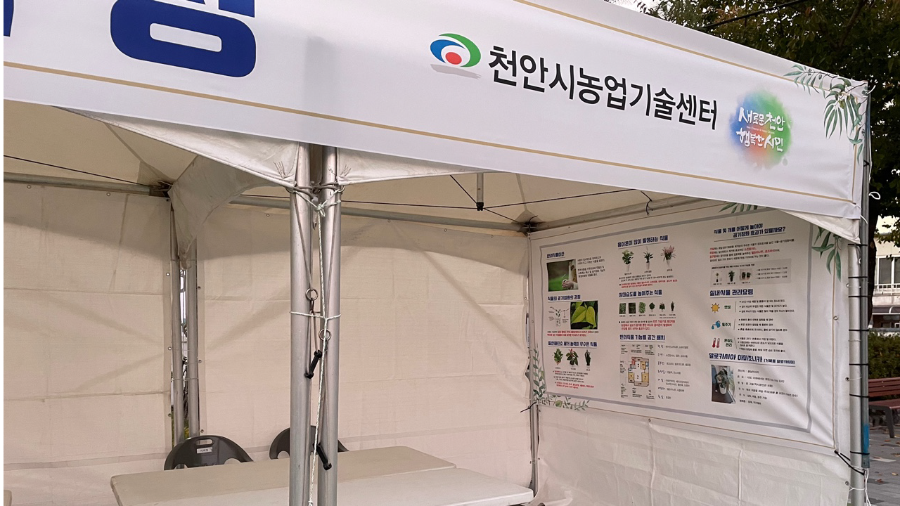 천안농업기술센터 반려식물 케어데이